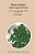 Directionality And Logical Form: On The Scope Of Focusing Particles And Wh-In-situ-.. - Imagem 1
