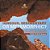Igneous, Sedimentary Or Metamorphic? Rock Formation, Rock Types, Similarities And Differences Grade 6-8 Earth Science-.. - Imagem 1