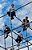 Chicago Quarterly Review Vol. 23-.. - Imagem 1