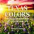 Texas Colors: Colorful Symbols Of The Lone Star State-.. - Imagem 1