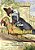 The Faithless Parrot (Simplified Chinese): 06 Paperback Color-.. - Imagem 1