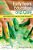 Early Years Education And Care: New Issues For Practice From Research-.. - Imagem 1