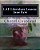 Laf Literature Lesson: Jane Eyre: Language Arts Is Fun!-.. - Imagem 1