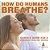 How Do Humans Breathe? Science Book Age 8 Children's Biology Books-.. - Imagem 1