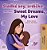 Sweet Dreams, My Love (Czech English Bilingual Book For Kids)-.. - Imagem 1