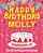 Happy Birthday Molly - The Big Birthday Activity Book: (Personalized Children's Activity Book)-.. - Imagem 1