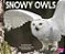 Snowy Owls-.. - Imagem 1