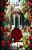 Everlasting Roses-.. - Imagem 1