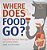 Where Does Food Go? Function And Role Of The Human Digestive And Excretory Systems Grade 6-8 Life Science-.. - Imagem 1