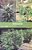 Marijuana Outdoor Grower's Guide Paperback-.. - Imagem 1