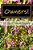 Owner!: A Guide For Developing Personal Responsibility, Real Happiness And Democratic Living Skills In Our Modern Complex Worl-.. - Imagem 1
