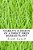 Viability & Design Of A Direct Fired Biomass Plant: In North Cork-.. - Imagem 1