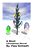A Short Christmas Novel.: For Kids & Teenagers-.. - Imagem 1