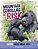 Mountain Gorillas At Risk: Saving These Great Apes-.. - Imagem 1