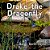 Drake The Dragonfly-.. - Imagem 1