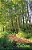 Struck By A Notion: An Adult Learning Program Anthology-.. - Imagem 1