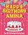 Happy Birthday Amina - The Big Birthday Activity Book: Personalized Children's Activity Book-.. - Imagem 1