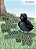 The Little Crow That Didn't Know How To Fly-.. - Imagem 1