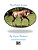 The Paint Horse-.. - Imagem 1