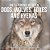 The Difference Between Dogs, Wolves, Foxes And Hyenas Children's Science & Nature-.. - Imagem 1