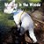 Walking In The Woods With My Dog: A Book Of Caterpillars, Butterflies, Spiders And Bugs-.. - Imagem 1