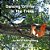 Dancing Critter In The Trees-.. - Imagem 1