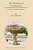 The Structure Of Coordination: Conjunction And Agreement Phenomena In Spanish And Other Languages-.. - Imagem 1