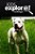 Bulldogs - Kids Explore: Animal Books Nonfiction - Books Ages 5-6-.. - Imagem 1
