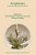 Peripheries: Syntactic Edges And Their Effects-.. - Imagem 1