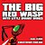 The Big Red Wasp With Little Dwarf Wings-.. - Imagem 1