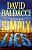 Simply Lies: A Psychological Thriller-.. - Imagem 1