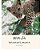 Lulu The Leopard (Persian): Based On A True Okambara Story-.. - Imagem 1