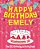 Happy Birthday Emely - The Big Birthday Activity Book: Personalized Children's Activity Book-.. - Imagem 1