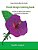Easy Coloring Book For Adults: Floral Design Coloring Book: Adult Coloring Book With 50 Basic, Simple And Bold Flower Patterns And Motifs For Beginne-.. - Imagem 1