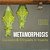 Metamorphosis: Cocoons & Chrysalis In Insects Biology For Kids Edition-.. - Imagem 1