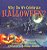 Why Do We Celebrate Halloween? Holidays Kids Book Children's Holiday Books-.. - Imagem 1