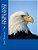Dori And The Eagle-.. - Imagem 1
