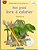 Brockhausen Livre De Coloriage Vol. 3 - Mon Grand Livre À Colorier: Dinosaure-.. - Imagem 1