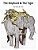 The Elephant & The Tiger-.. - Imagem 1