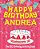 Happy Birthday Andrea - The Big Birthday Activity Book: (Personalized Children's Activity Book)-.. - Imagem 1