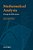 Mathematical Analysis During The 20Th Century-.. - Imagem 1
