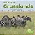 All About Grasslands-.. - Imagem 1