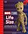 Marvel Mcu Life Size-.. - Imagem 1
