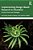 Implementing Design-Based Research In Education: Practical Tools And Strategies-.. - Imagem 1
