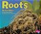 Roots-.. - Imagem 1