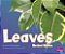Leaves-.. - Imagem 1
