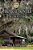A Tropical Frontier: The Cow Hunters-.. - Imagem 1