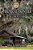 A Tropical Frontier: The Cow Hunters-.. - Imagem 1