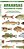 Arkansas Freshwater Fishes: A Folding Pocket Guide To Native And Introduced Species-.. - Imagem 1
