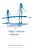 Ship Collision Analysis: Proceedings Of The International Symposium On Advances In Ship Collision Analysis, Copenhagen, Denmark, 10-13 May 1998-.. - Imagem 1